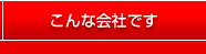 こんな会社です